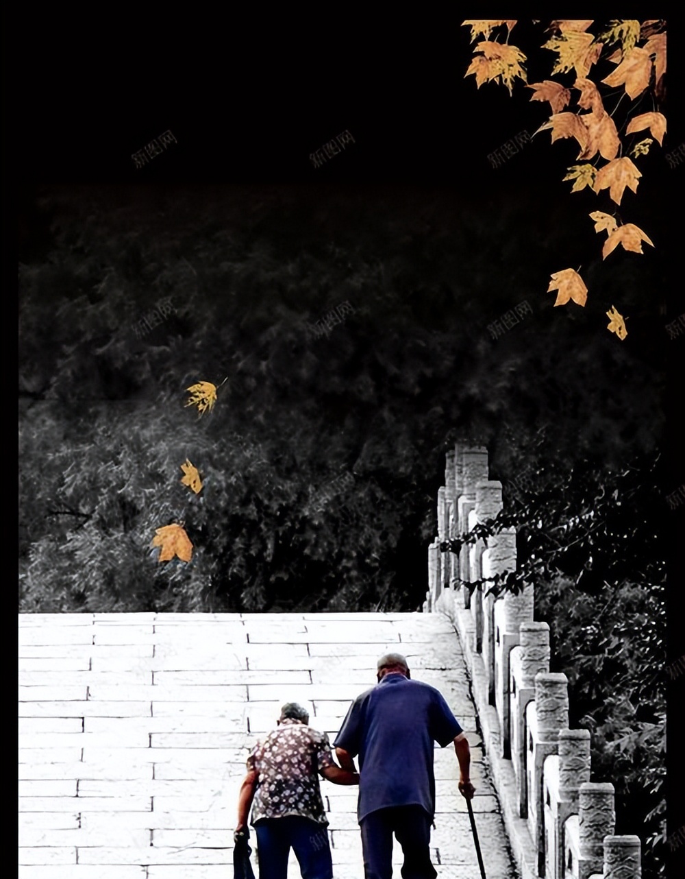 日本女子夜晚街头揽客,日本街头70岁的大妈