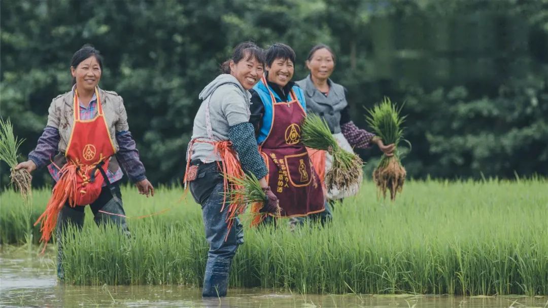高桥小镇峨眉山,峨眉山高桥小镇在哪里