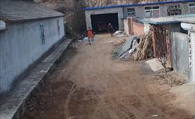 鹅被灌酒飞走,大鹅被灌酒后飞走