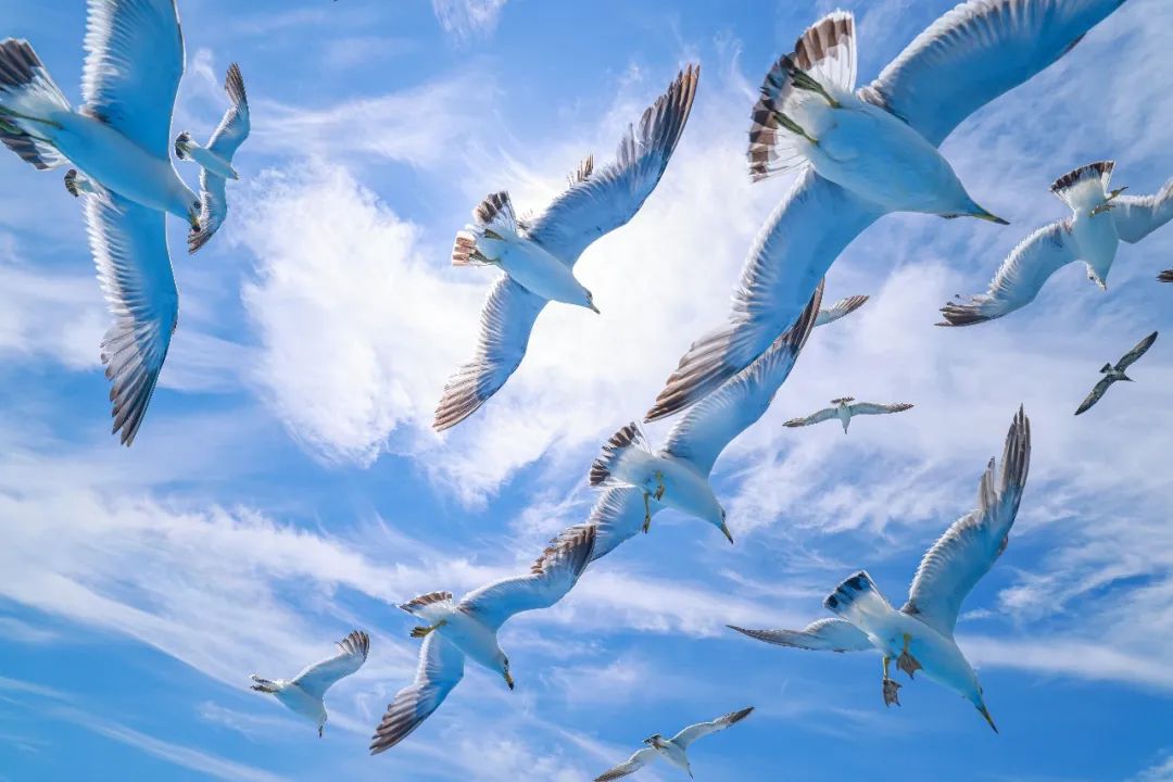 519中国旅游日辽宁,519中国旅游日广东