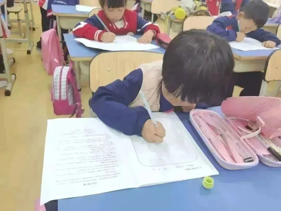 种子乐园游玩攻略,种子乐园2-6岁儿童科普