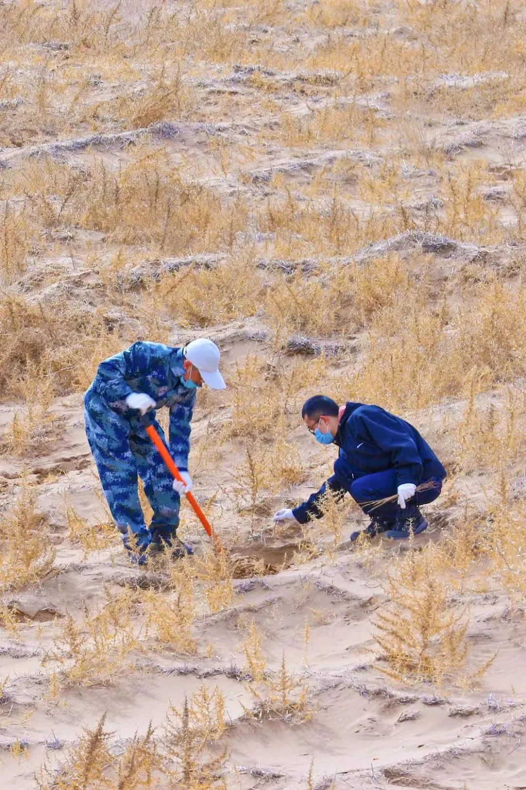 大西北旅游古老的文化底蕴,古老的信天游