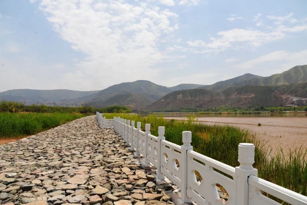 金城著名地方,金城历史由来