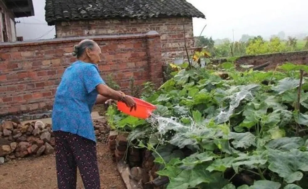 日军杀害的抗日女英雄真实图片,连杀七名日寇的女英雄