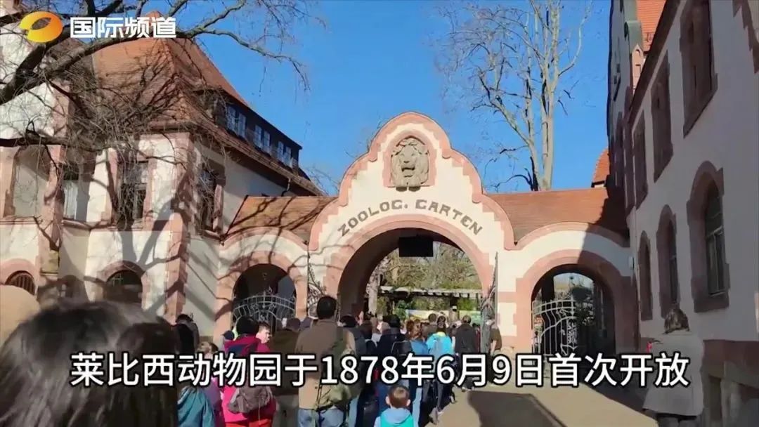 世界潮我看丨中外“导游”带你逛展览、品美食……云游世界