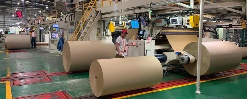 今日废纸价格大跌原因,废纸行情今日最新价