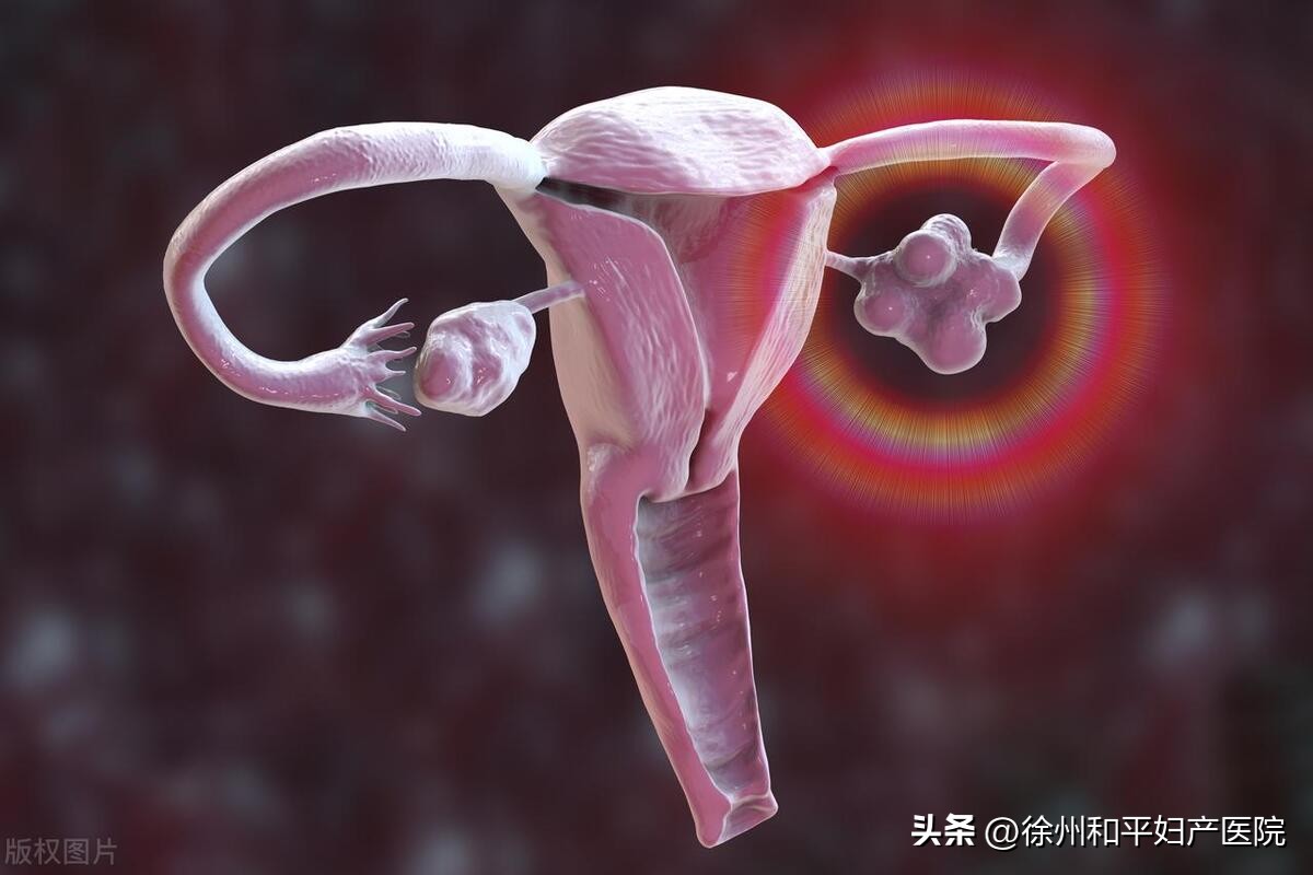 同房才20天，老婆已怀孕35天：我被“绿”了？