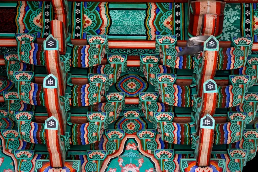 韩国色彩水彩画,韩国丹青