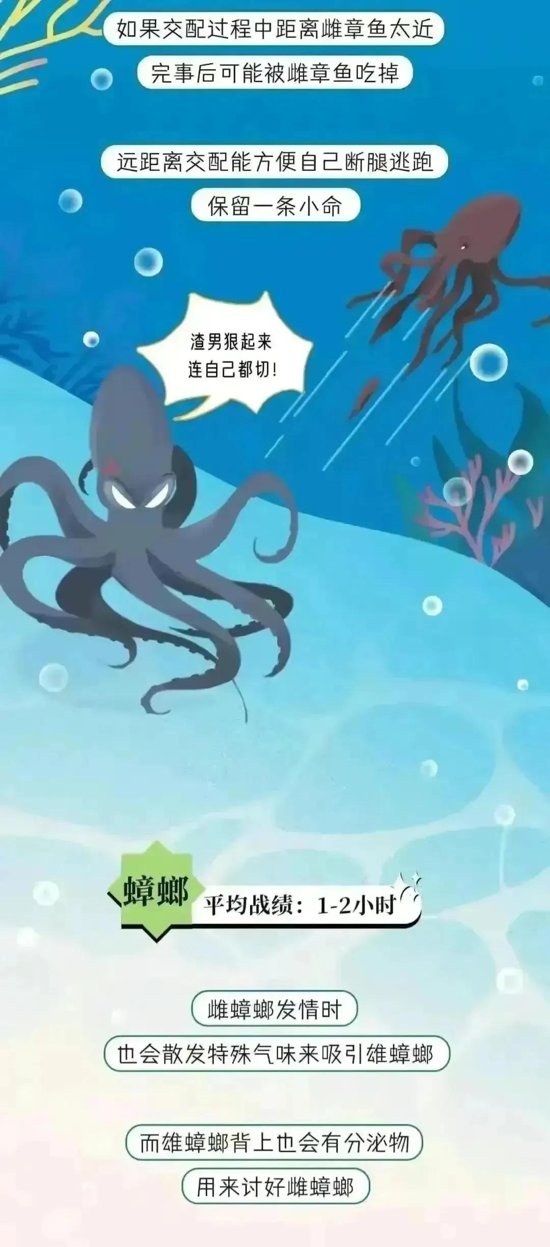 人类受孕时长是多久,人类正常受孕多久