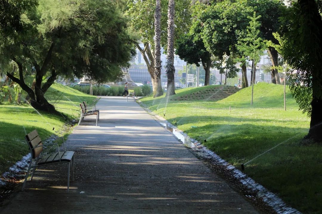 郑州春游踏青去哪里,郑州适合春游的地方