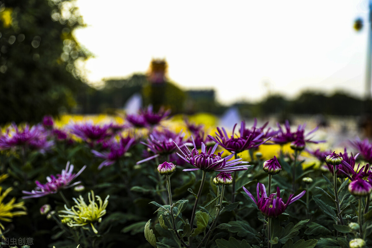 最美的四季诗句,四季美景令人流连忘返的诗句