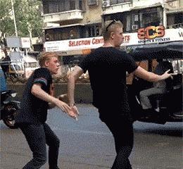 狗子看猫咪很轻松地就上去了，也学着来，结果把猫咪的窝给砸了