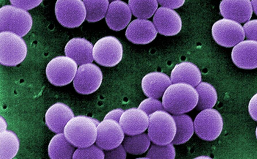 阿莫西林不能乱吃这五种病才有效,阿莫西林或许只对5种病有效