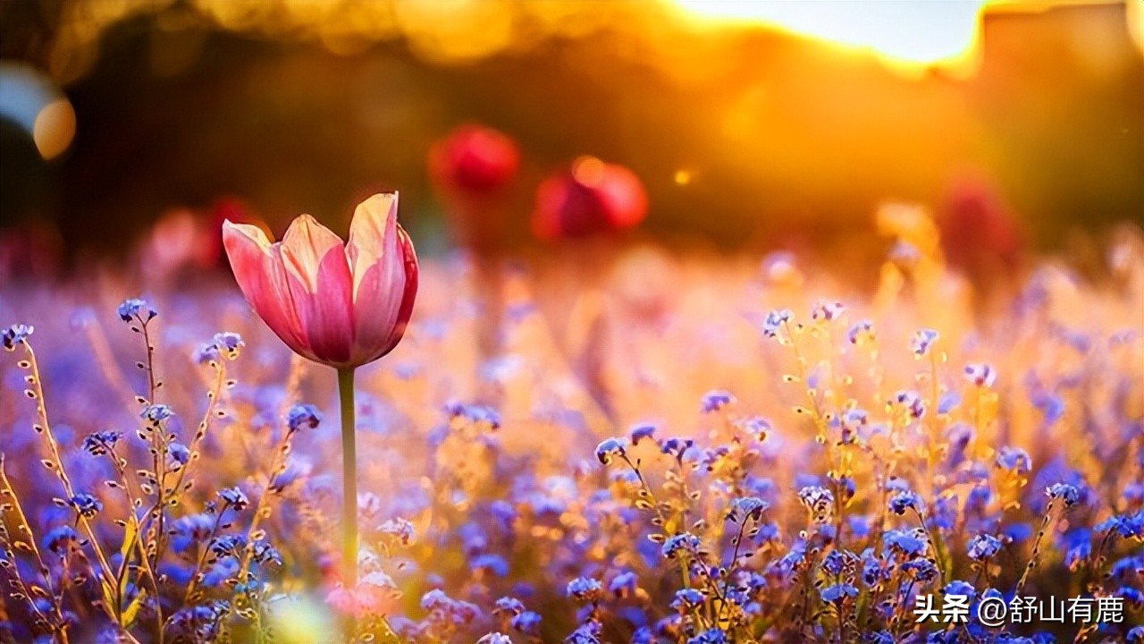 遇到克你的人怎么办,遇到命中克星怎么办