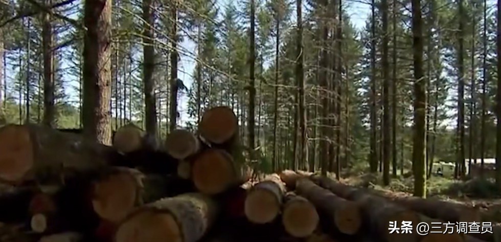 他走进一家算命铺子，就稀里糊涂的少了1600万！美国旧案回顾