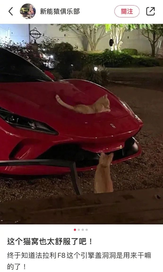 情人节冷笑话段子,情人节冷笑话段子大全