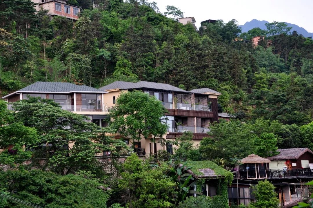 猫咪走太空步原视频最火,猫咪壁虎漫步视频