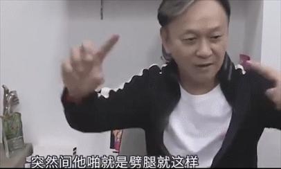 陈德森甄子丹电影,陈德森一个人的武林解析