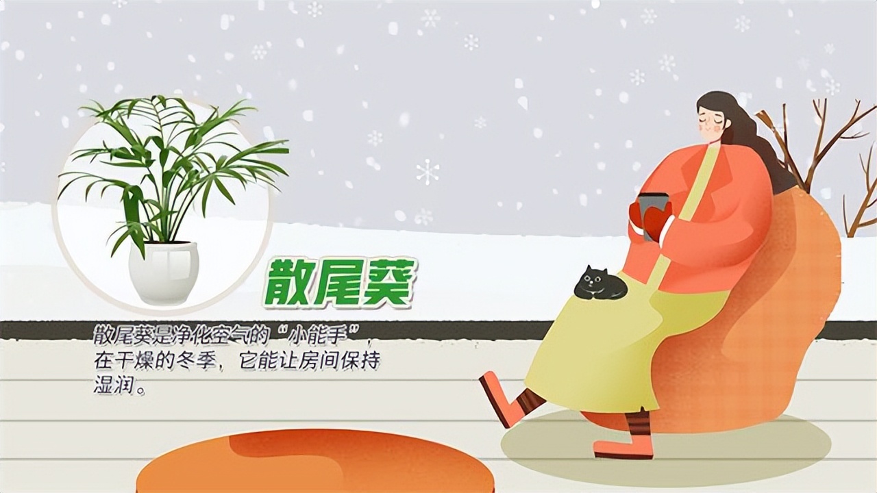 冬季天气干燥房间保湿,冬季室内干燥如何保湿小窍门
