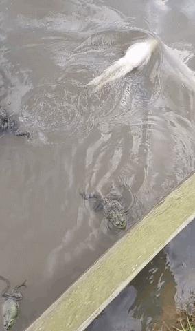 和女网友奔现靠谱吗,被女网友骗了钱怎么办