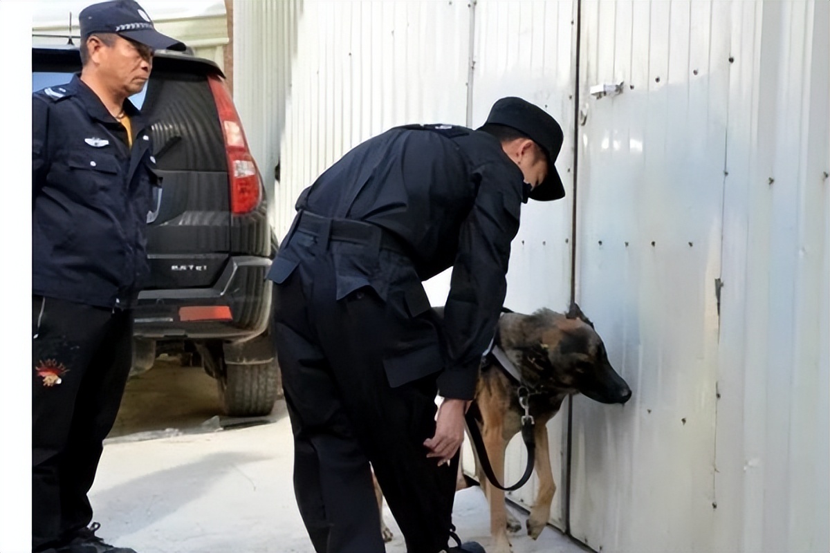 5年残害妇女作案20起,14年入室残害11名女子