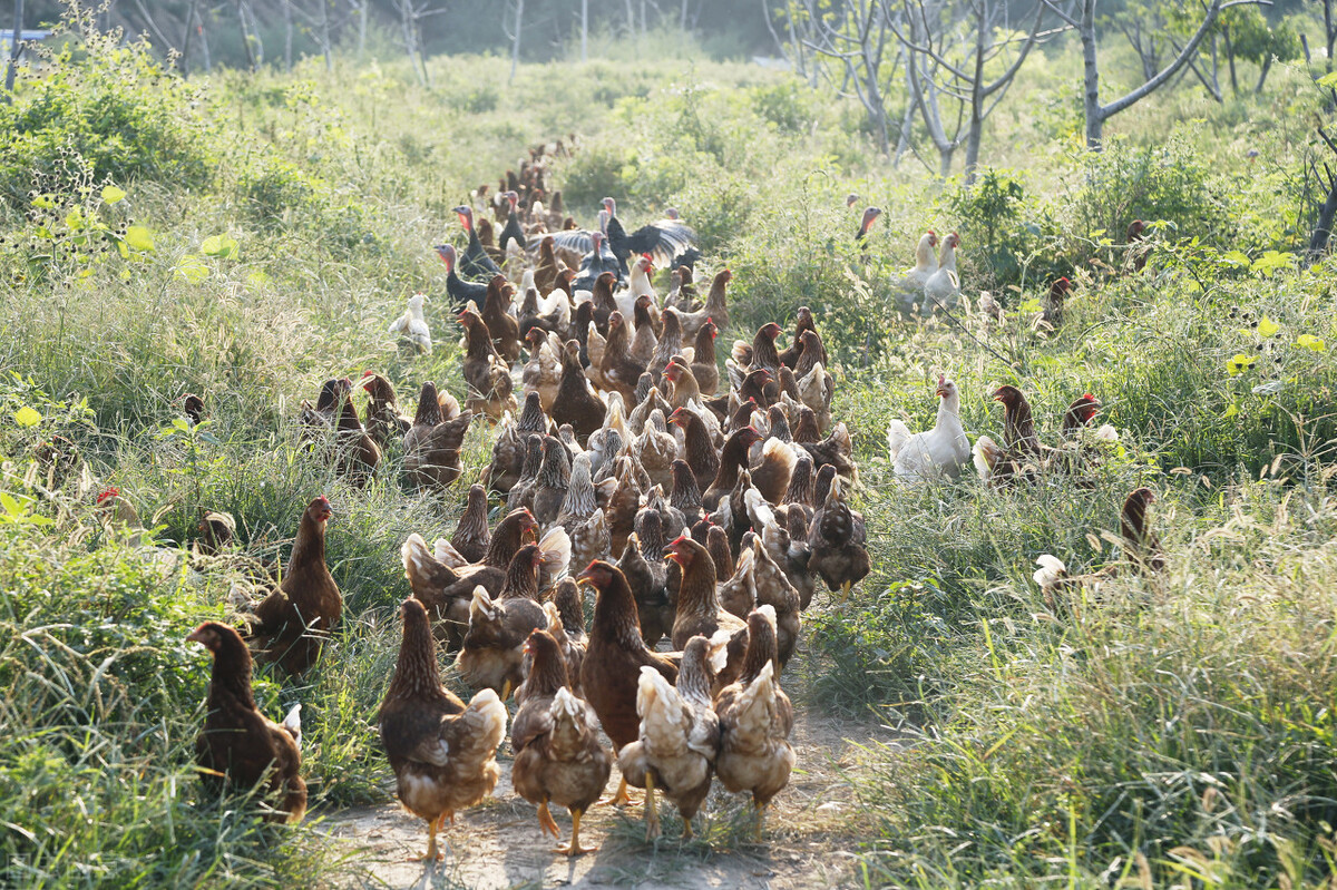 旧文阅读,旧文新读