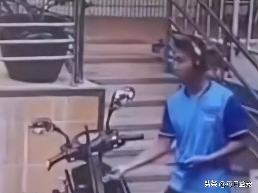 外卖小哥暴打流浪猫后续,外卖员暴打猫咪后续