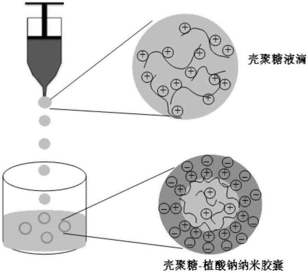 改性壳聚糖吸附重金属离子,改性活性炭吸附实验报告