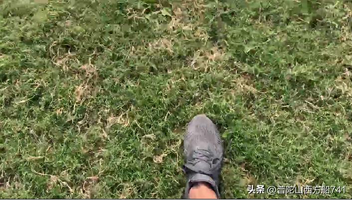 追梦人是什么游戏,追梦人游戏开车