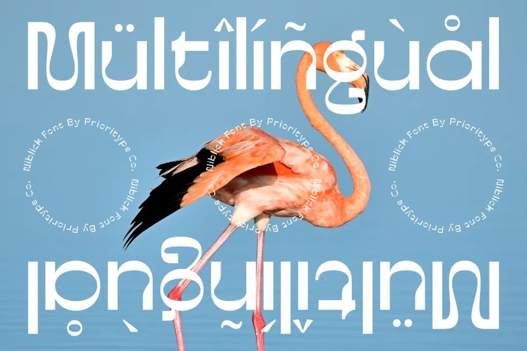 ttf纯英文好看字体,ttf英文字体