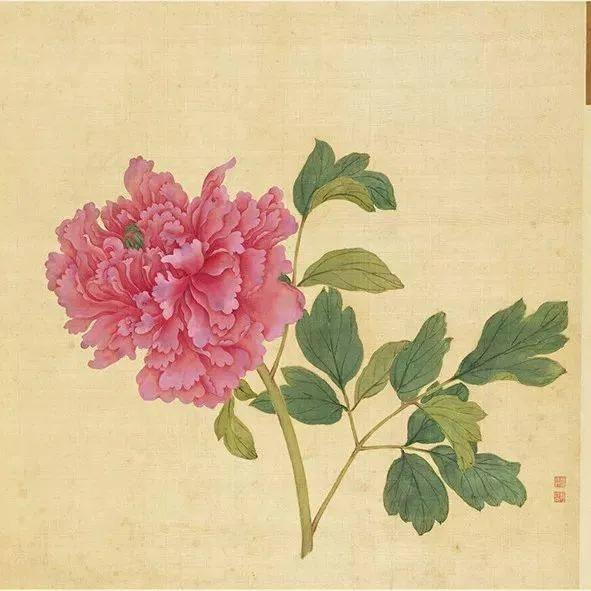 蒋廷锡牡丹画法,蒋廷锡百种牡丹画法