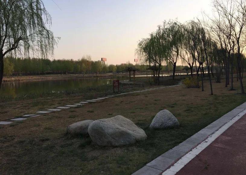 德州减河湿地公园一日游攻略,德州减河湿地公园游览记