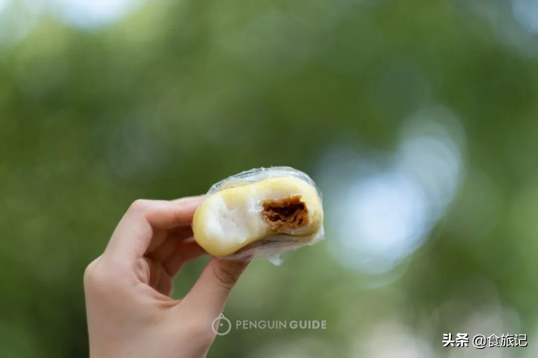 春游地点推荐省钱攻略,春游攻略正当时