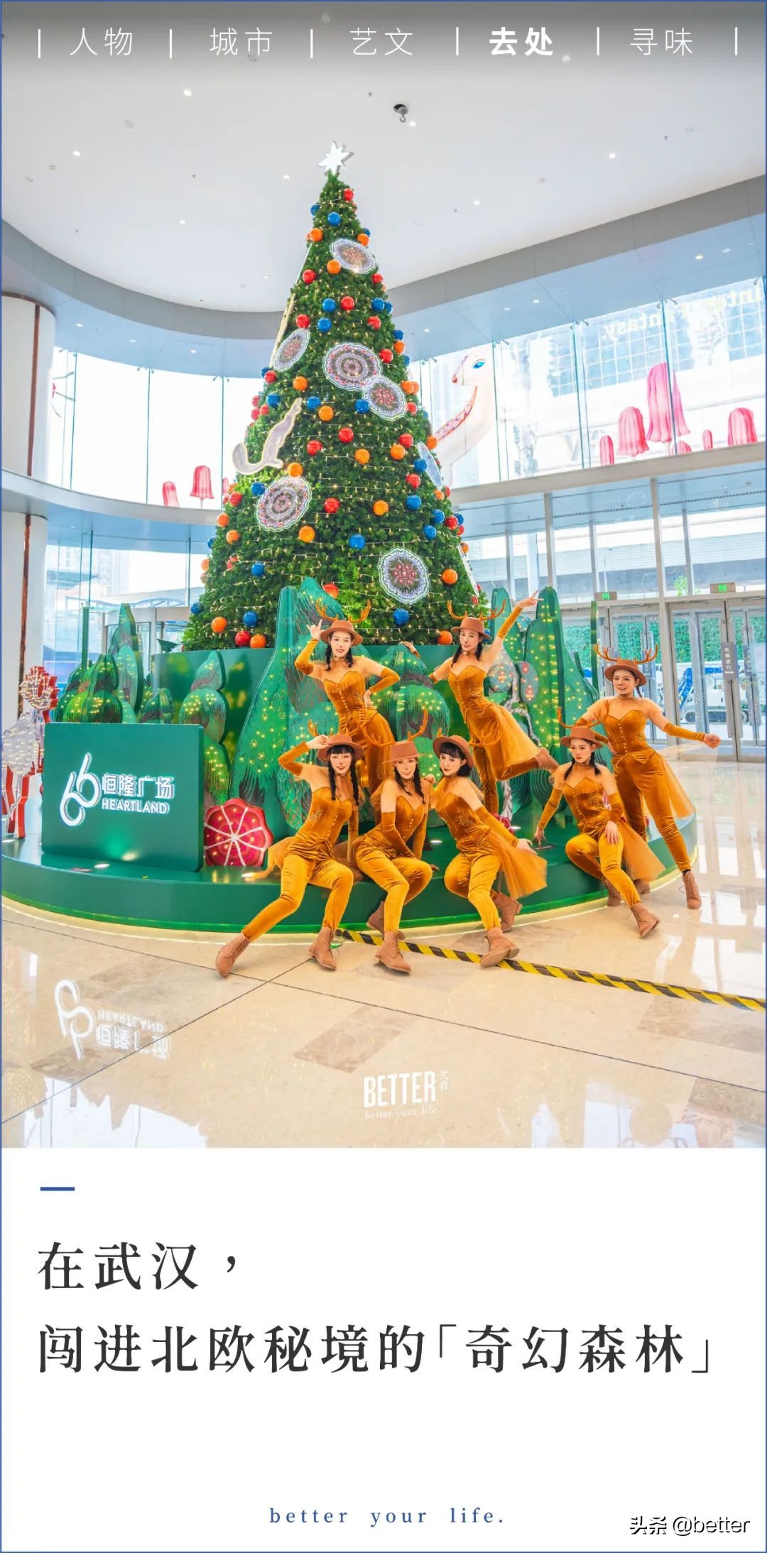 跟随一群奇幻麋鹿，我开启了一场「森」诞之旅