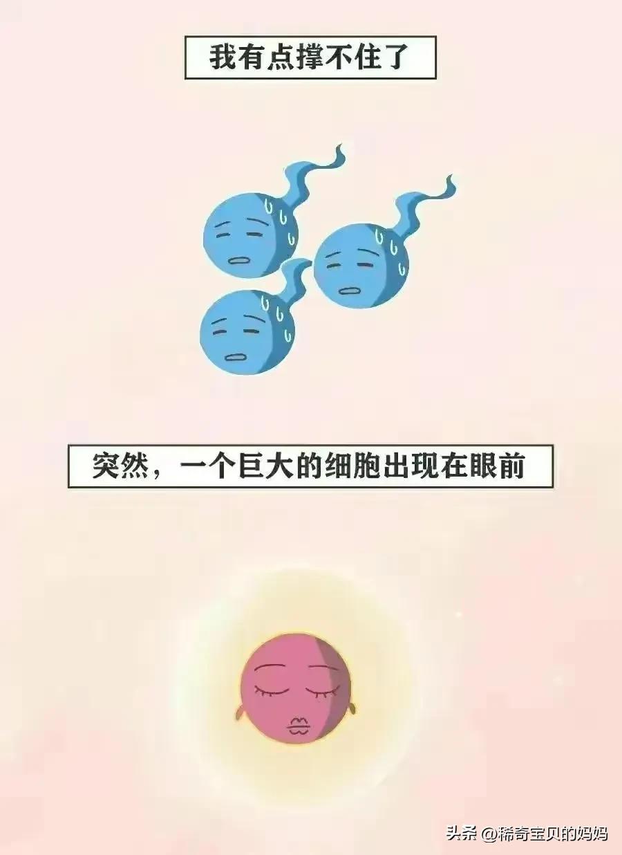 精子进入女生体内的全过程，一路坎坷好艰难！（漫画）