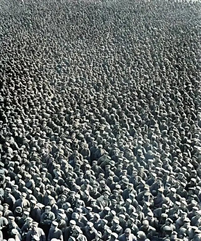 罕见的自然场景,罕见的一幕