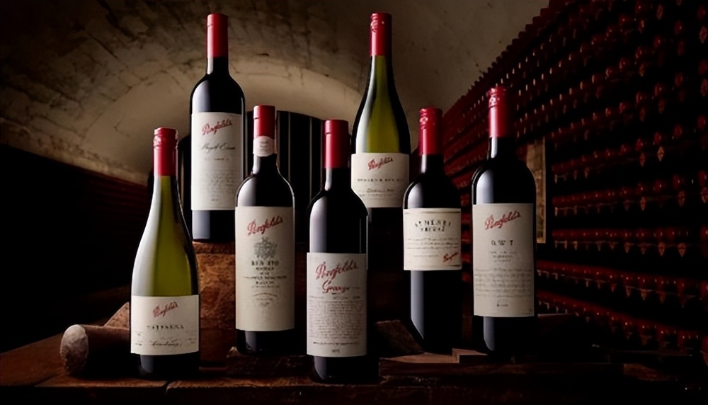 红酒奔富还有什么品牌,红酒奔富系列性价比