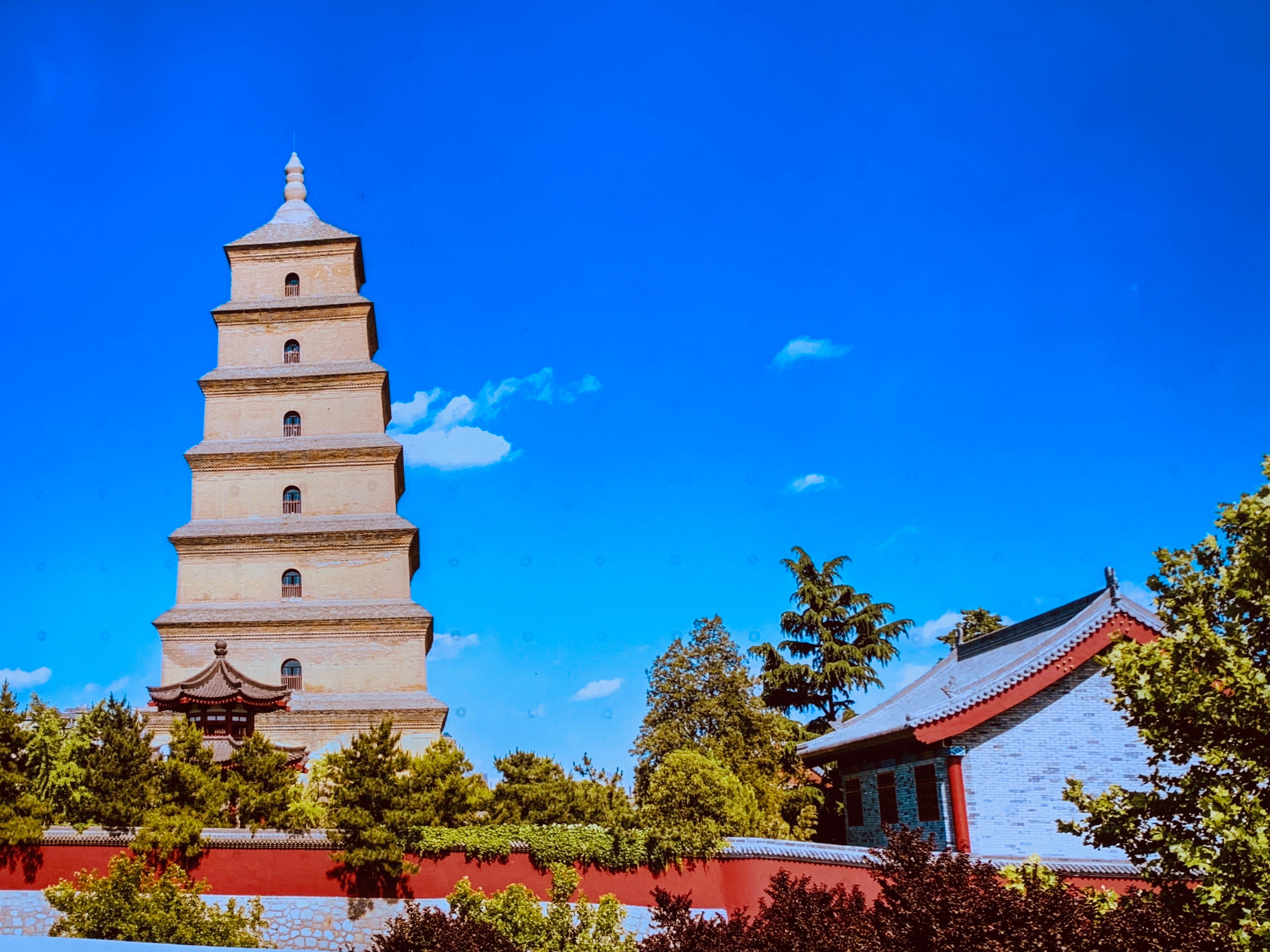 西安华清宫旅游团,西安华山三日游旅游团报价