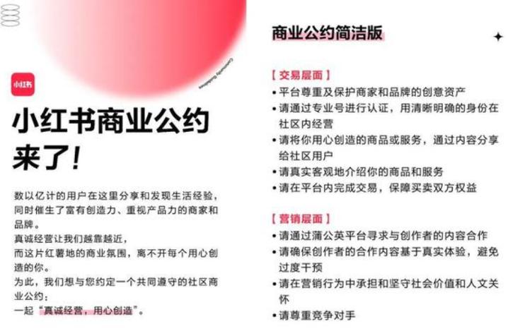 为什么看不到一些人的小红书 (为什么看不懂别人的小红书)