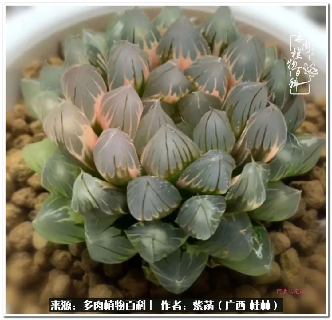 酷暑送清凉关爱入心田,酷暑慰问暖人心