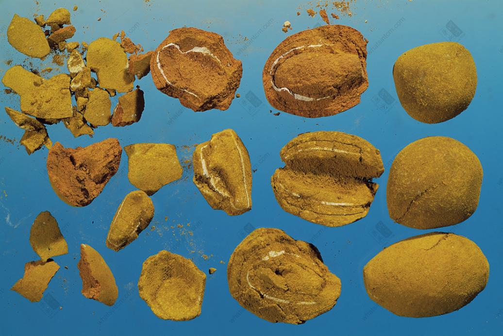 同样一种中药为什么价格相差甚远,很贵的一粒中药