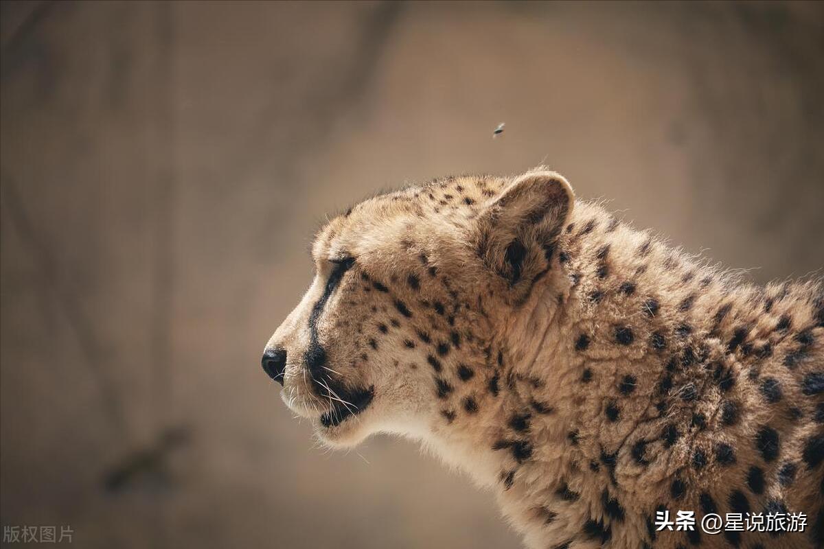 上海适合老年人去的景区,上海四星级旅游景点排名榜