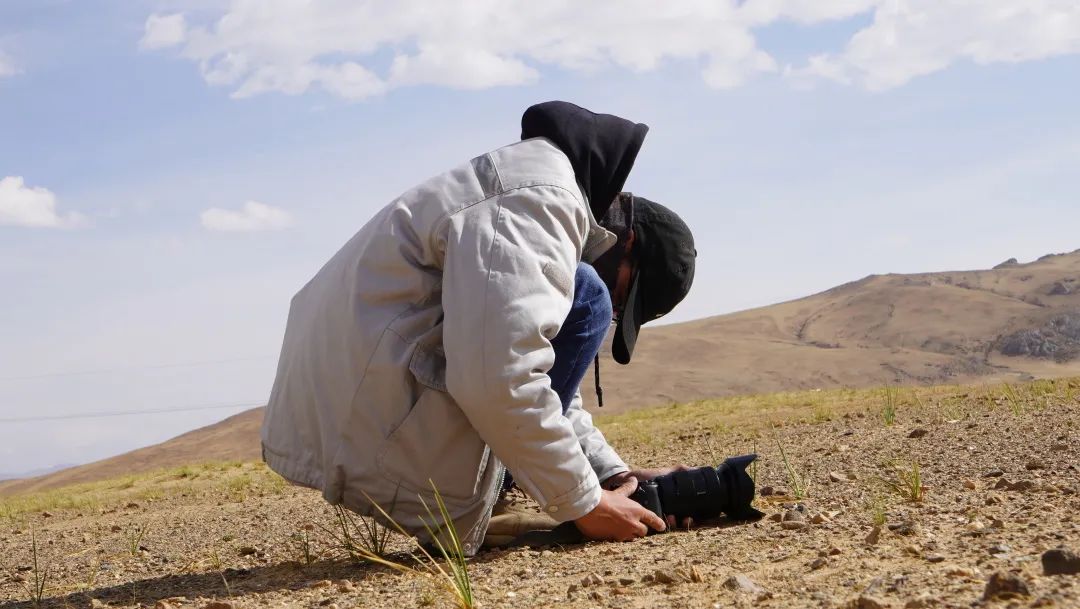我国海拔最高的输变电工程,世界海拔最高的输变电工程