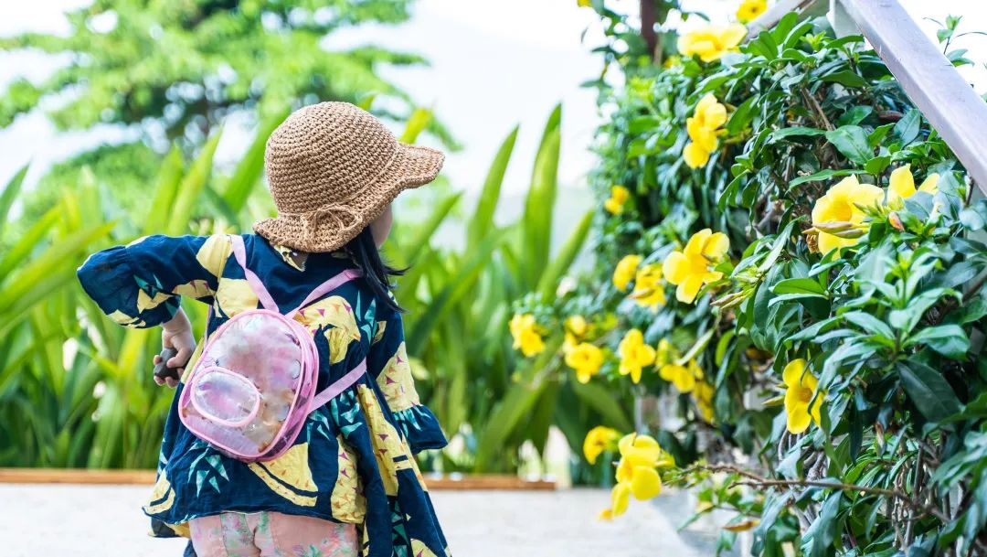 上海文峰美发美容官网,文峰美容美发都有什么项目