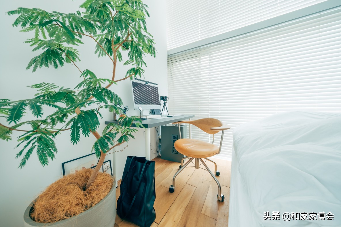 日本小姐姐租东京铁塔的房子 (日本小姐姐晒租房日常)