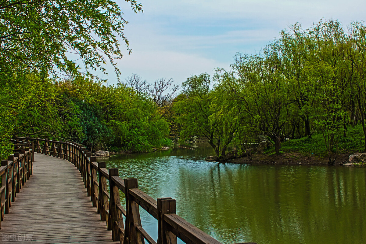 上海附近的森林秘境,上海惊现的森林秘境