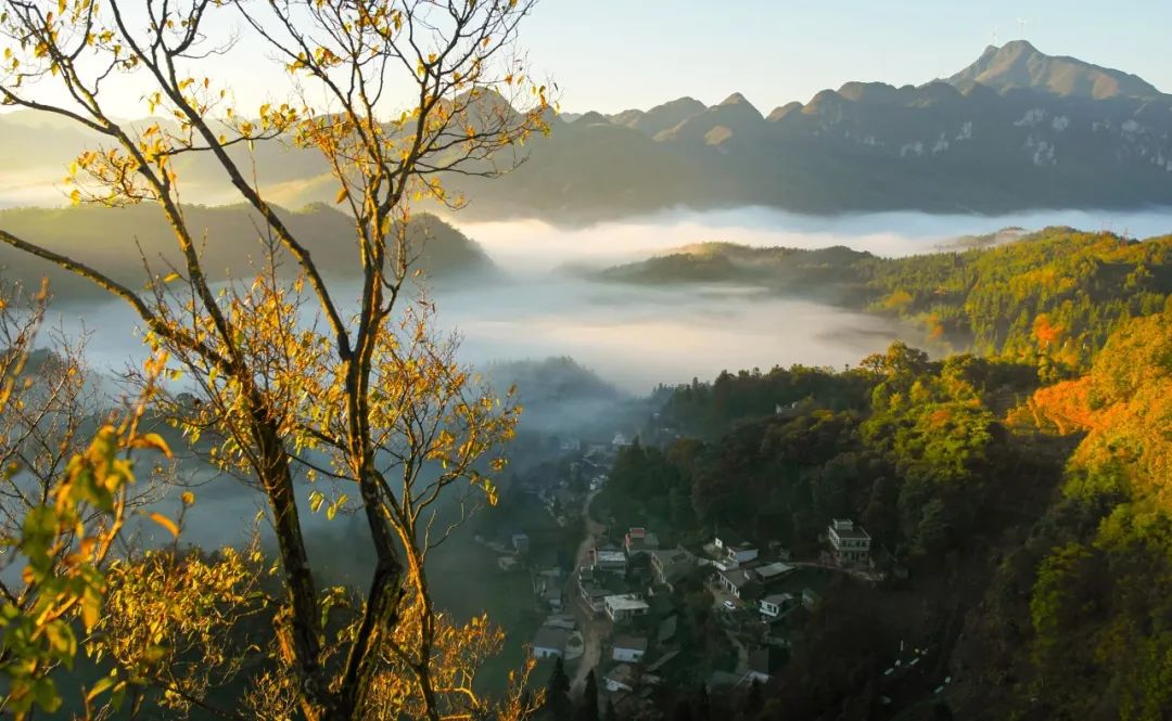 120句中华名著经典再忙也要背下来,100篇名著经典语录