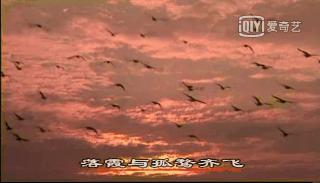 带你真切看人间的宝藏纪录片top10,十一长假适合带孩子看的纪录片