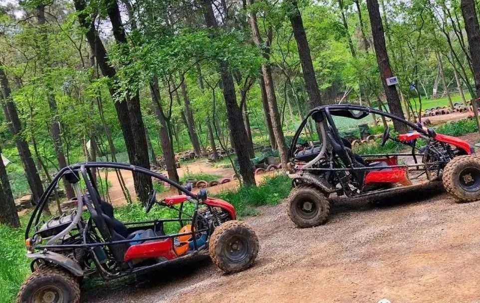 300亩主题农场,300亩农场年入千万