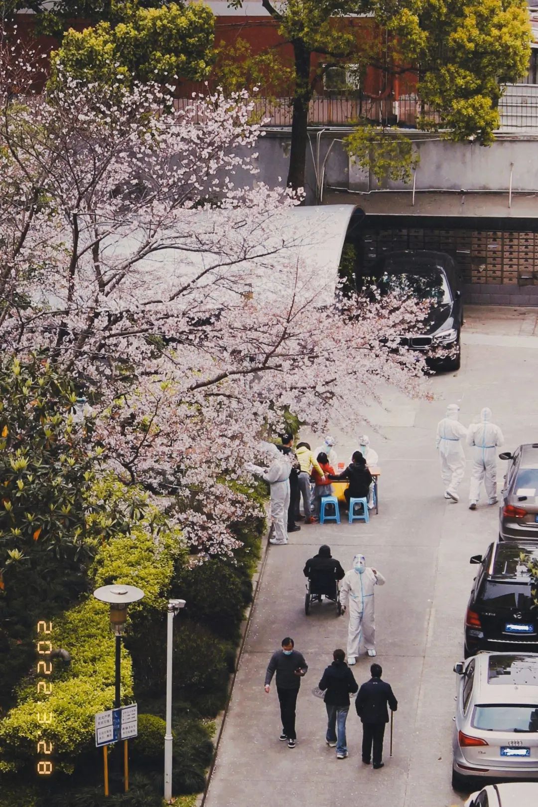 错过了一个秋天,错过了一个春秋